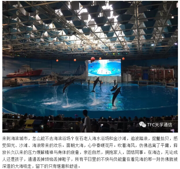 z6com·(中国区)有限公司官网