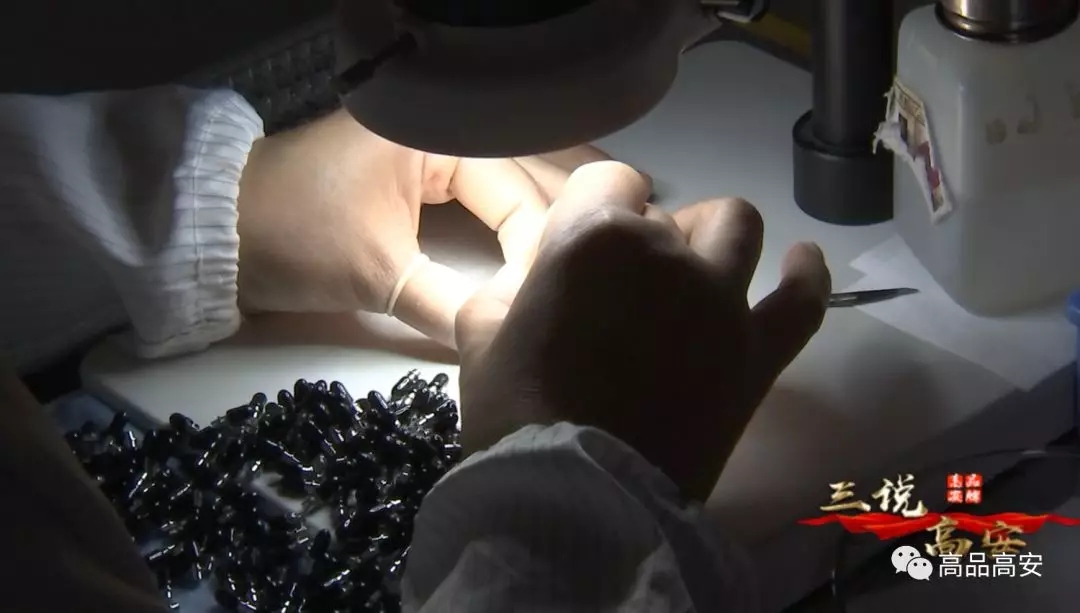 z6com·(中国区)有限公司官网