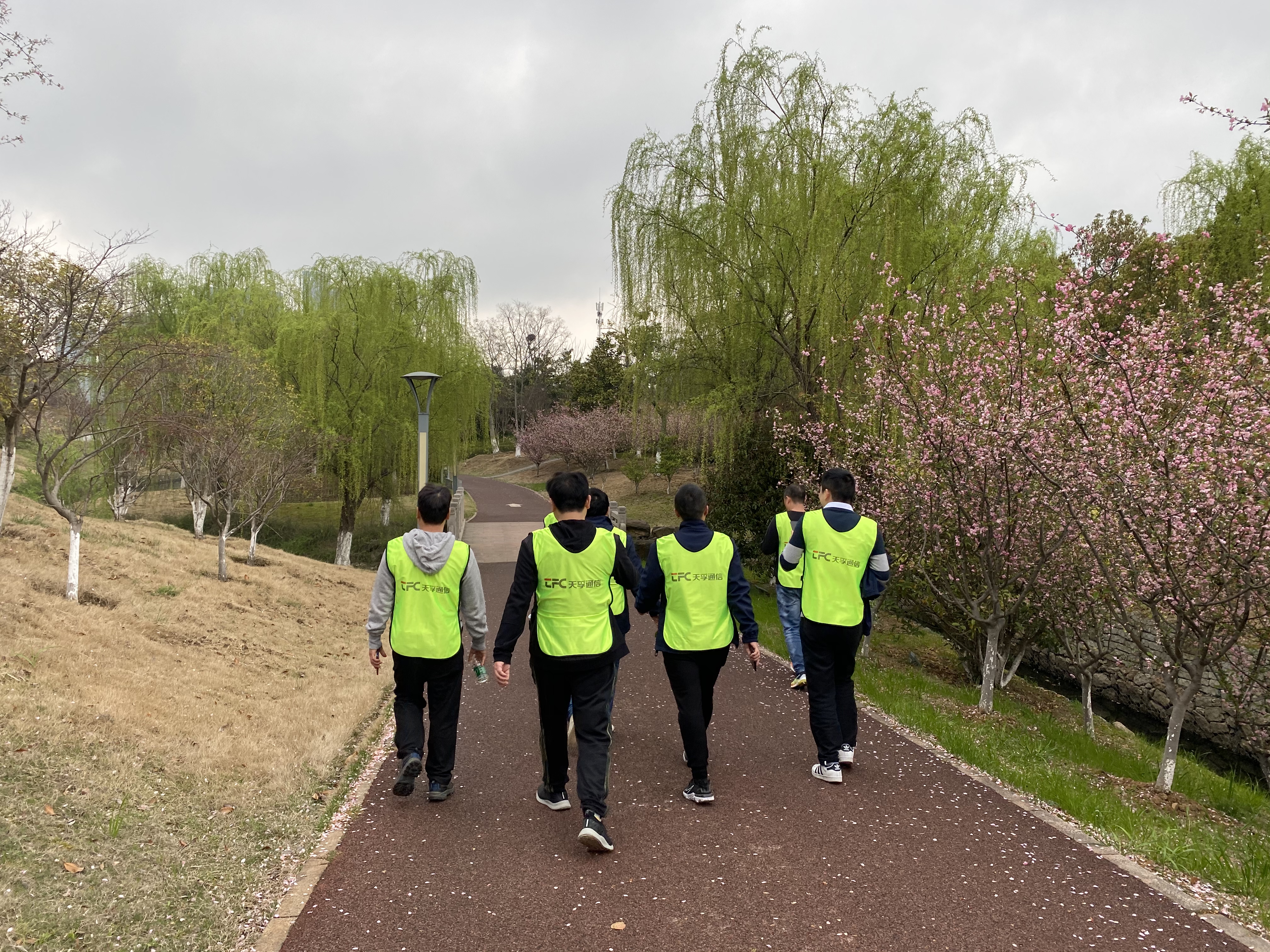 z6com·(中国区)有限公司官网